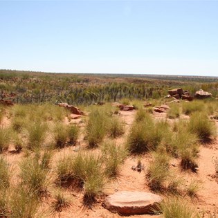 Grindstone in the desert