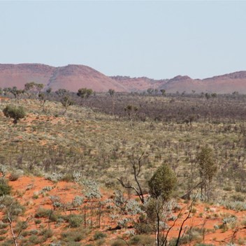 Looking towards the Stansmore Range