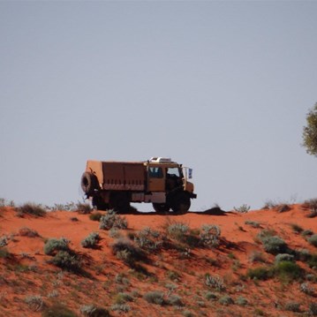 Modern Day Camel in the dune country