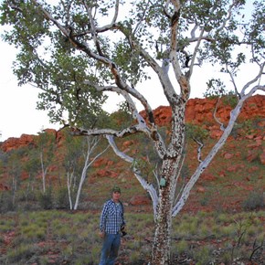 Alan at the plaque tree