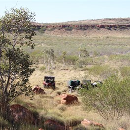 Looking towards Mount Hughes