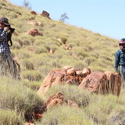 Stone cairns