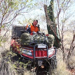 Making shade as best we can.