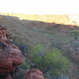 Looking down across the perched dune