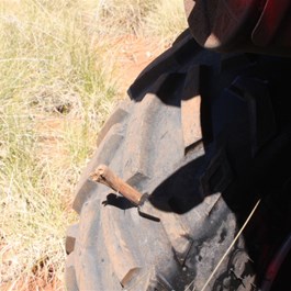 Ouch, one of the many!