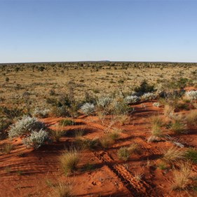 The dune country with Mt Hughes Waaaayyy in the distance