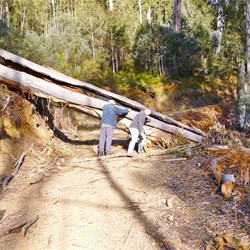 The boys need to build up their strength