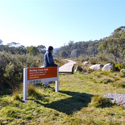 Bentley Creek Walking Track