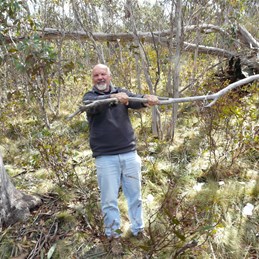 Things get tiresome on Native Cat Track