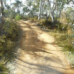  Onto Limestone Ck Tk from Nunniong Rd
