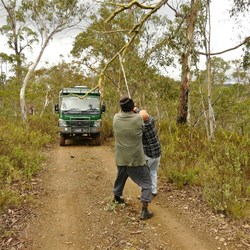 A little pruning in places