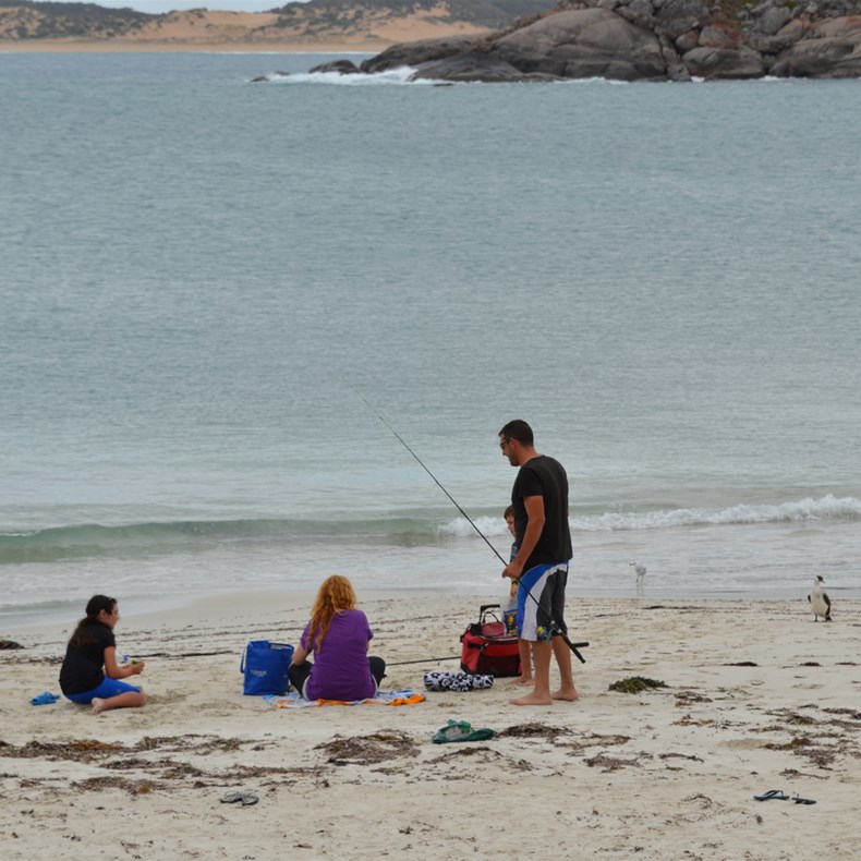 Beach activities for the whole family 