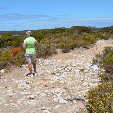 One of the many walks with the National Park