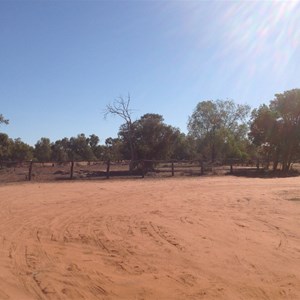 Site of old Currawinya Homestead