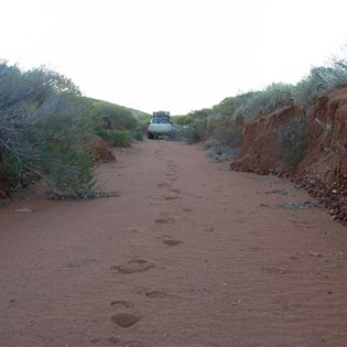 No way forward, no way back!