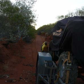 Our track has become a creek