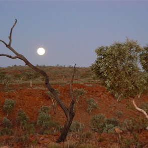 Moonrise over the Yandagooge