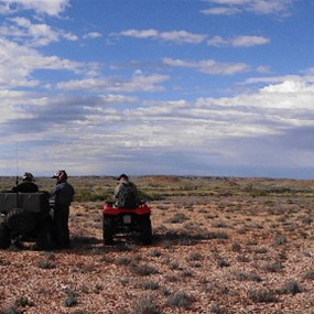 Up on the quatzite plain