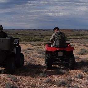 Looking towards the Fingoon Range