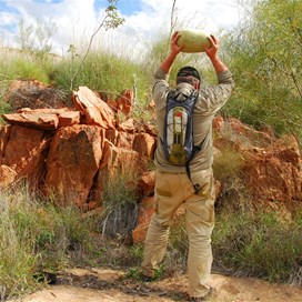 Investigating one of the melons - crudely!