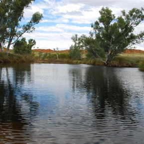 The waterhole we had come to find