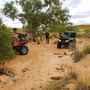 Morning tea - WITH NO BLOODY TEA BAGS!!