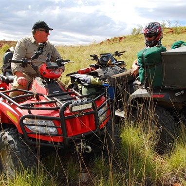 Discussing the options