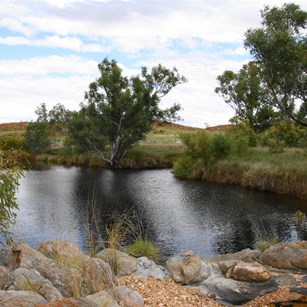 The rockhole we had come to find -Note rocky lip
