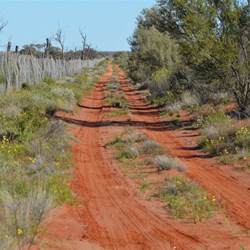 Travelling along the Dog or Dingo Fence, the largest man made fence in the world, stretching over 5000 kilometres 