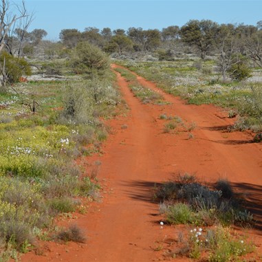 The Nawa Junction Track near Dingo Flat Gate