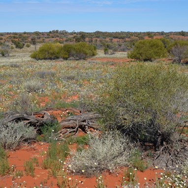 Great scenery along the BMR