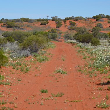 Just like the Simpson Desert but better