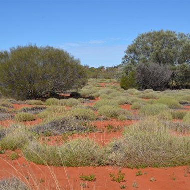Changing scenery along the BMR
