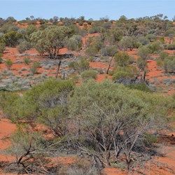 More great scenery along the BMR