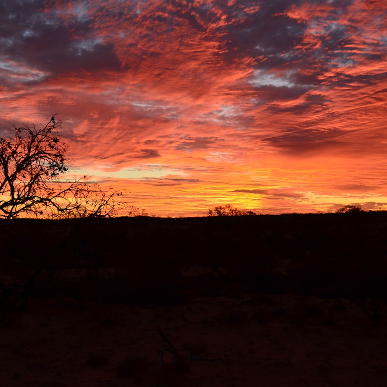 Sunset out along the BMR east - west Track
