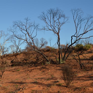 Inside the fire Zone