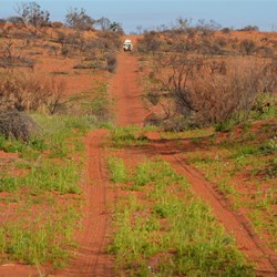 Local recent rain starting to transform the fire zone along the BMR