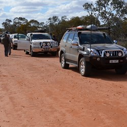 Stopped at the site of the Eucalyptus wyolensis