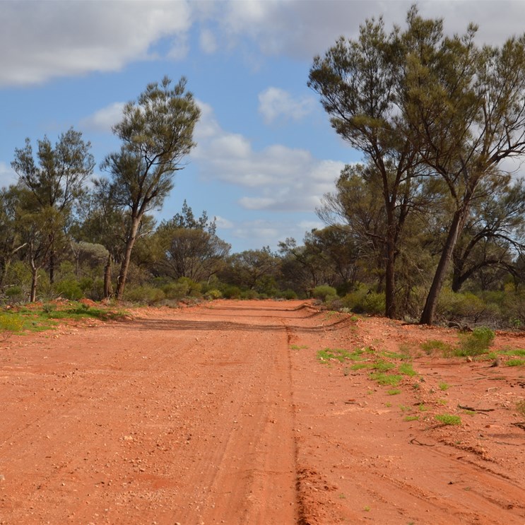 The BMR Roads were fantastic to drive