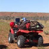 The pack animal fully loaded.