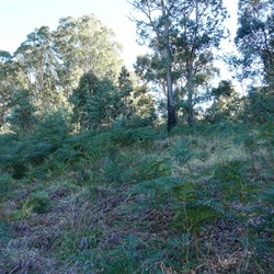 Where is the track to the battery?