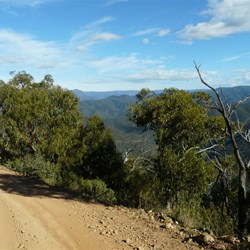 McMillans Track into Talbotville