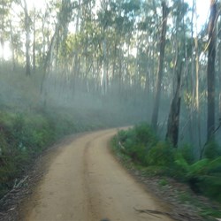 Top of McMillans Track in the early morning