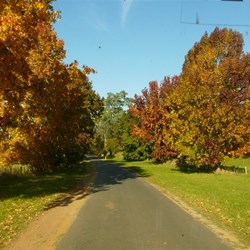 A wonderful arrival at Dargo