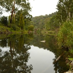 Beautiful shaddows on Black Snake Creek