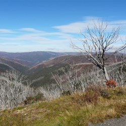 Overlooking the alps