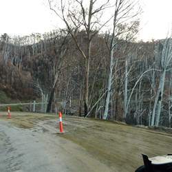 On the Alpine Way to Harrietville