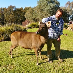 Steve with his pet deer, Lucy