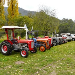 The Massey Fergusons in Talbotville