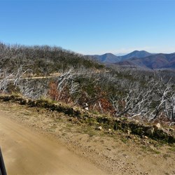 Heading north on Dargo High Plains Road